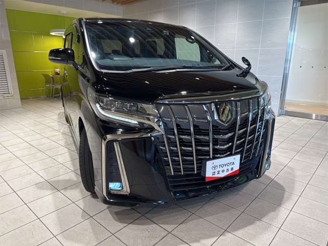 消費電力が少なく、長寿命のLEDヘッドライト。明るい光で夜間の走行も安心