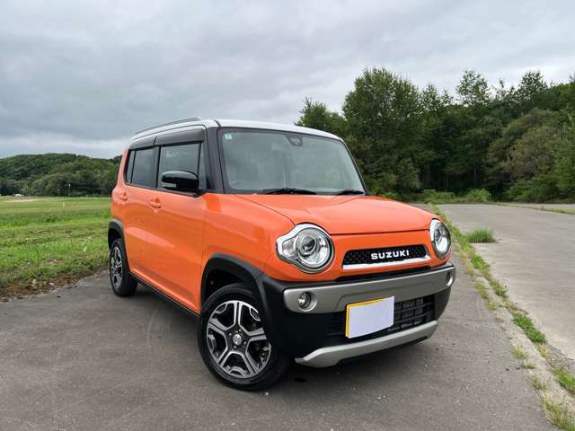 オークション仕入れです。札幌より自走で来ました。その後継続現在取得、不具合箇所を修理してちょいちょい足代わりに使ってます。