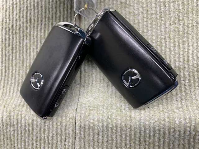 手荷物が多いときでも、スマートキーをバッグやポケットに携帯していれば、キーを取り出すことなくドアの解錠・施錠ができます