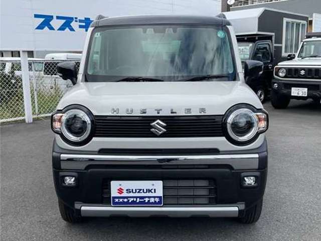 正面からの写真です　フォグランプが付いていますので天候が悪い際の運転も安心です