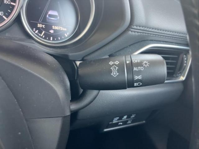 国産車から輸入車まで多様なお客様のニーズのお応えできるように、全国規模で豊富な在庫展開！車のことならWECARSへ！