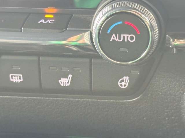 ステアリング＆シートヒーター付きです！