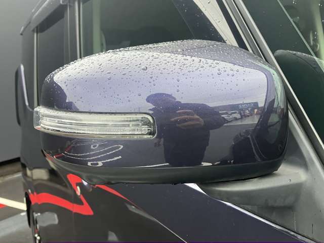 ウィンカー付きドアミラーもついています。