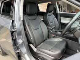 アダプティプクルーズコントロール　ブラインドスポットモニター　後期モデル