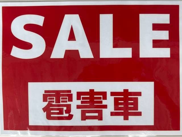 軽微な雹害車です。ほとんど分かりません