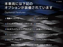 ◆オプション一覧