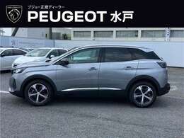 重厚なサイドビュー・どっしり感を感じます！