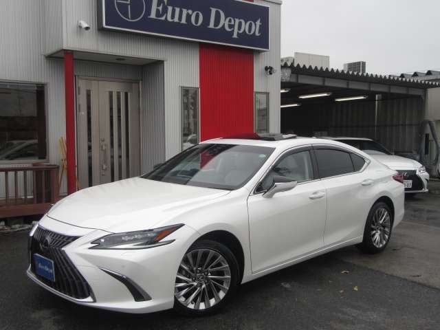 新世代LEXUSとして、デザインや走りも大きな変革を遂げた「ES」。クラストップレベルの空力性能を目指したボディ形状や広く快適な室内空間、質感の高い素材の使用や細部の造形など、機能美と上質さを追求した