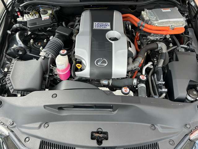 当店の取り組みやその他在庫はお店ページをご確認ください。