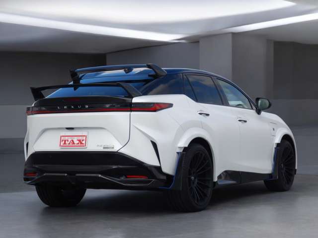 ボディカラーの設定はこれのみ！「HAKUGIN/BLACK」2トーン！