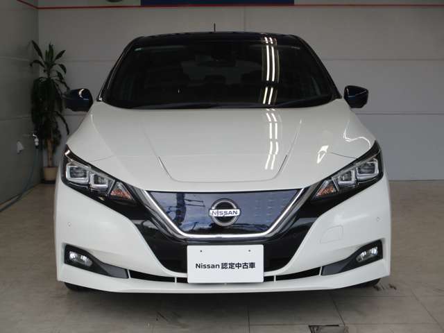 日産らしさを引き立てるフロントマスクの大きなVモーショングリル。NISSANロゴの上部に通常と急速、どちらも備えた充電口があります。