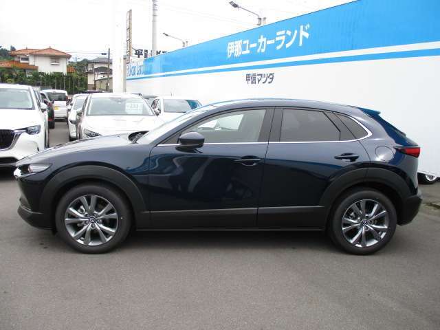 大きすぎず小さすぎず使い勝手の良いSUV！