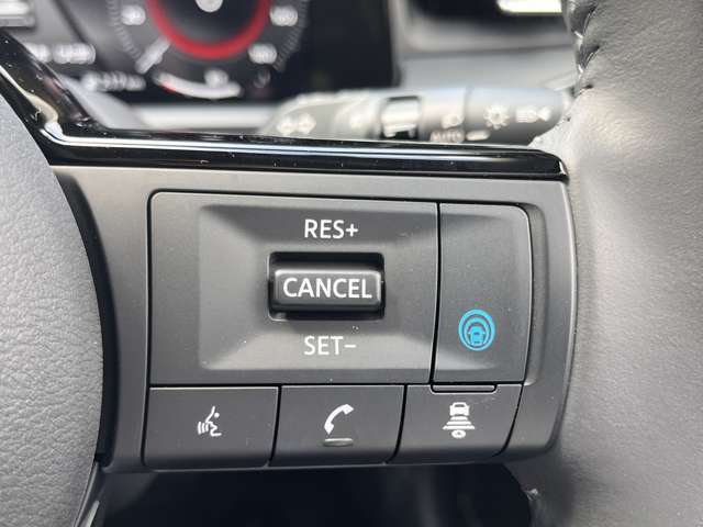 高速道路では運転手の疲労軽減に繋がるプロパイロット付きです