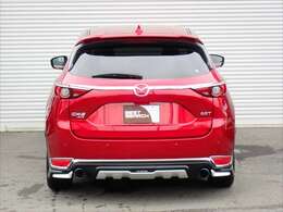 後姿もエアロやマフラー2本出し、社外メッキなどクールに決まってます！