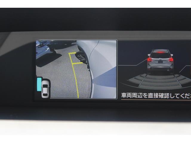 サイドカメラの映した画像、運転席から見えづらい左前下方もディスプレイで確認できます、狭い路地などでの幅寄せ時など便利なカメラ映像です