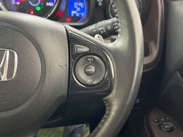 【クルーズコントロール】高速道路もラクラク走行。アクセルを離しても一定速度で走行ができ、長距離運転時の負担を軽減！加速・減速も簡単なスイッチ操作で調整できます。