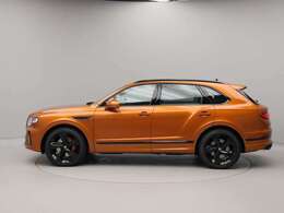 Blackline Specブライトウェアは全てBlack