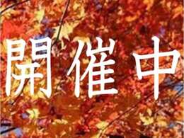 秋もやっております！ワイダボではお得なSALEと銘打って、新たなカーライフのスタートを全力で応援いたします！是非この機会にワイダボまでお問合せください♪