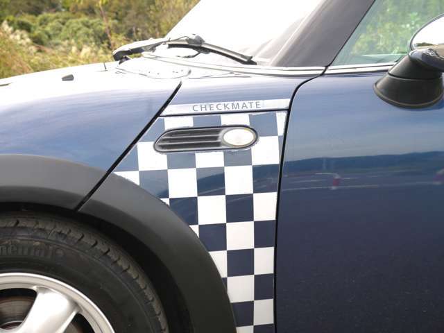 こちらがチェックメイト専用のパネルとなっています！さすが新車からかなりの年月が経過しているので少し褪せてしまっていますが、むしろこれが味になってていい感じですよね(^^)