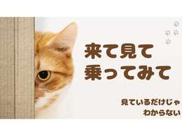現車確認など、お気軽にスタッフへお声掛けください(^^♪