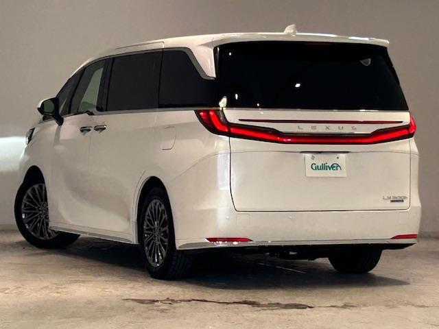 お車を左後ろから見るとこのような感じになります。テールランプやドアバイザー等装備品を確認できます。