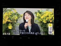 ■南大阪・和歌山地域最大級■　価格と品質は負けません！年間販売台数3000台以上！総在庫数は南大阪最大級の800台！まさに軽自動車のテーマパークです♪
