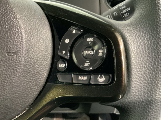 クルーズコントロールを装備しています。高速道路などで一定の速度で走ってくれるので運転が楽ですよ！速度を設定できますので、スピードの出しすぎにも注意できます。