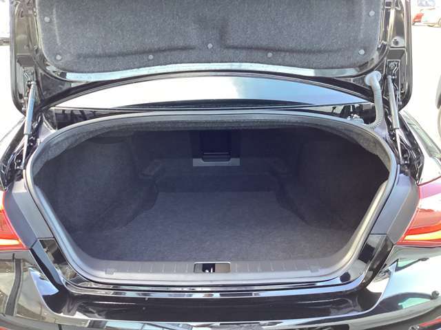荷物もたくさん乗りますよ