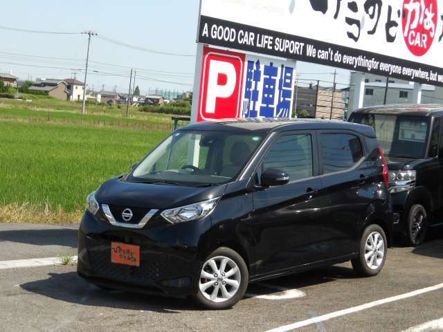 前からの左向きです。