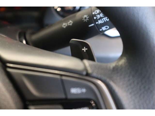 パドルシフトを搭載！気分はまるでF1レーサー！でも、飛ばしすぎには注意しましょうね！