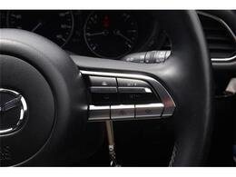 クルーズコントロール付きで高速でもらくらく！