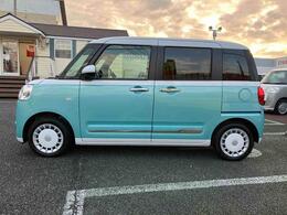 左右タイマー機能付きパワースライドドアです。