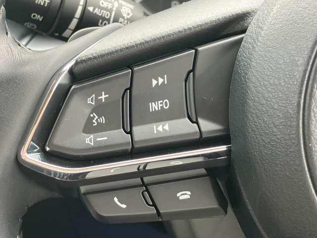 手元で操作が出来るオーディオスイッチやハンズフリースイッチを装備。