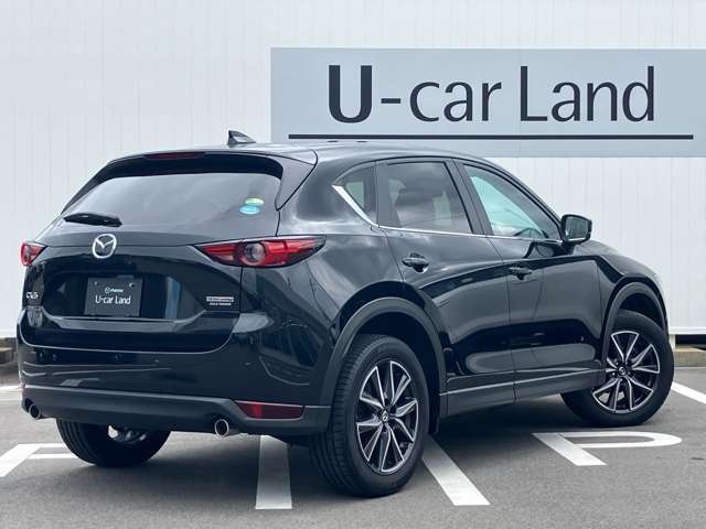 張りのあるリフトゲートの面造形やリアバンパー下部の水平基調のデザインによって、フロントビューと同時に無駄な動きのないスタンスのよさとワイド感を際立たせました。