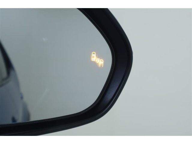 ウインカーミラーにはブラインドスポットモニターを搭載。隣を走る車両が死角に入るとLEDインジケーターを点灯。また、ウィンカーを出すとインジケーターも光って点滅！注意を促してくれます