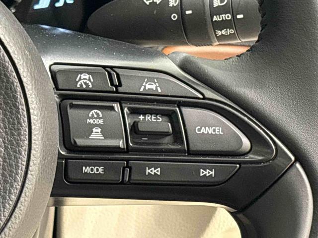 高速道路でも前の車の追従やレーンキープが使用できるので便利です。