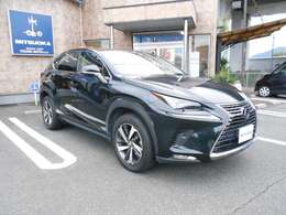 きれいなグラファイトブラックガラスフレークの車両です。