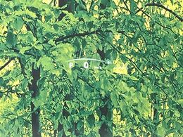 【カラーヘッドアップディスプレイ】現在の速度や走行情報をデジタル表示で運転席前方のガラスに投影！カラー付きで視認性も高く、運転中目線をずらさず必要な情報を確認できるのでとっても便利で安心！