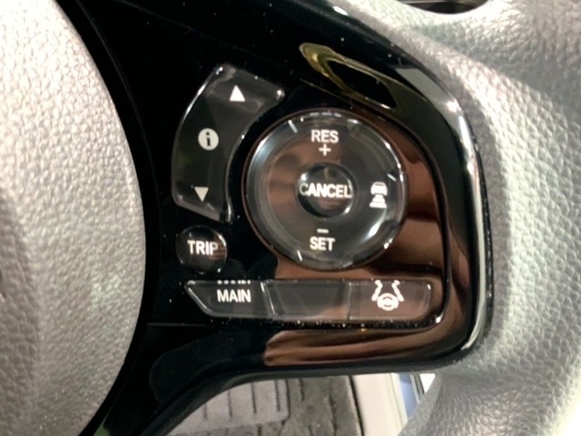 クルーズコントロールを装備しています。高速道路などで一定の速度で走ってくれるので運転が楽ですよ！速度を設定できますので、スピードの出しすぎにも注意できます。