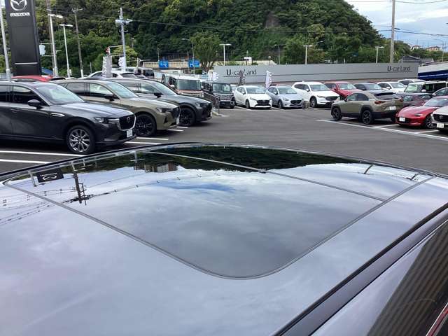 ルーフの状態です。