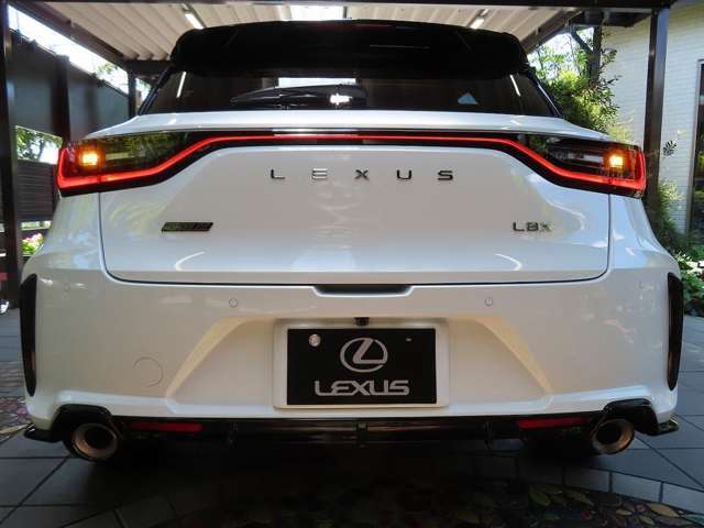 ■フルLEDリアターンハザードランプ ■寒冷地対策仕様車（LEDリアフォグランプ+凍結防止デアイサー等）