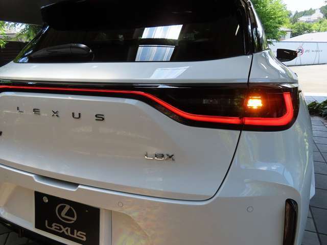 ■フルLEDリアターンハザードランプ ■寒冷地対策仕様車（LEDリアフォグランプ+凍結防止デアイサー等）