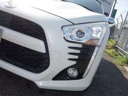 フロントルーバーガーニッシュ