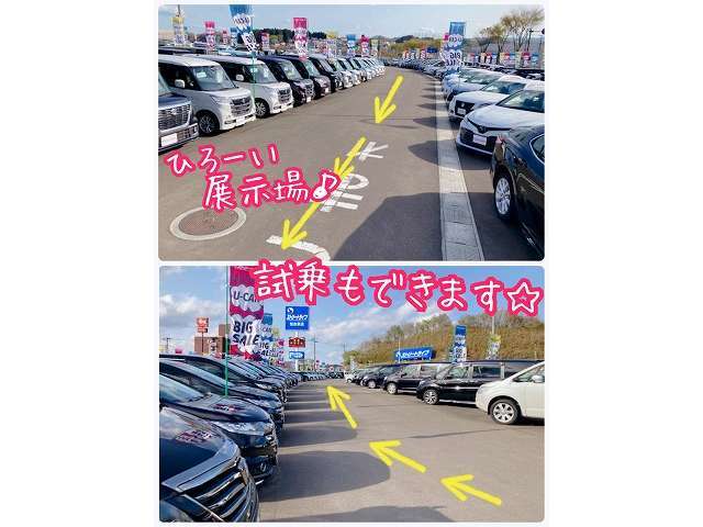 広い展示場で試乗もできますよ♪広大な敷地でお気に入りのお車に乗ってみませんか？展示車両はすべて試乗可能ですので、お気軽にスタッフまでお声掛けください☆