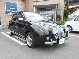 希少なダークパープル系のボディカラーです。