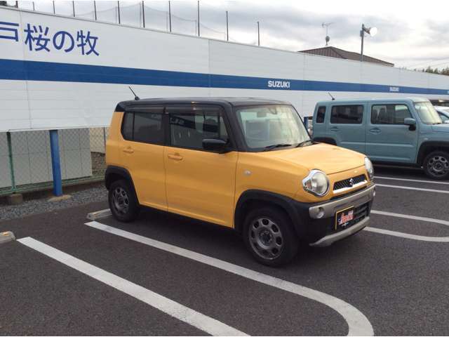 バイザー付き車になります。