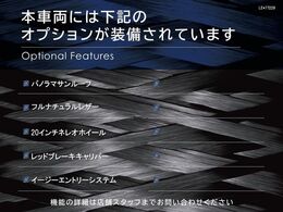 ◆オプション一覧