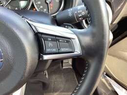 クルーズコントロールがありますので高速道路もらくちんです