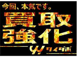 2025年2月～4月、ワイダボ、本気出します。買取・下取、お客様のご期待に沿えるよう頑張りますので、是非ご相談ください！