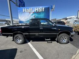 ビルシュタインショック・ステップ